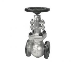 Sant Cast Steel Globe Valve (Type of Seat: Renewable) 250 mm, CS 9